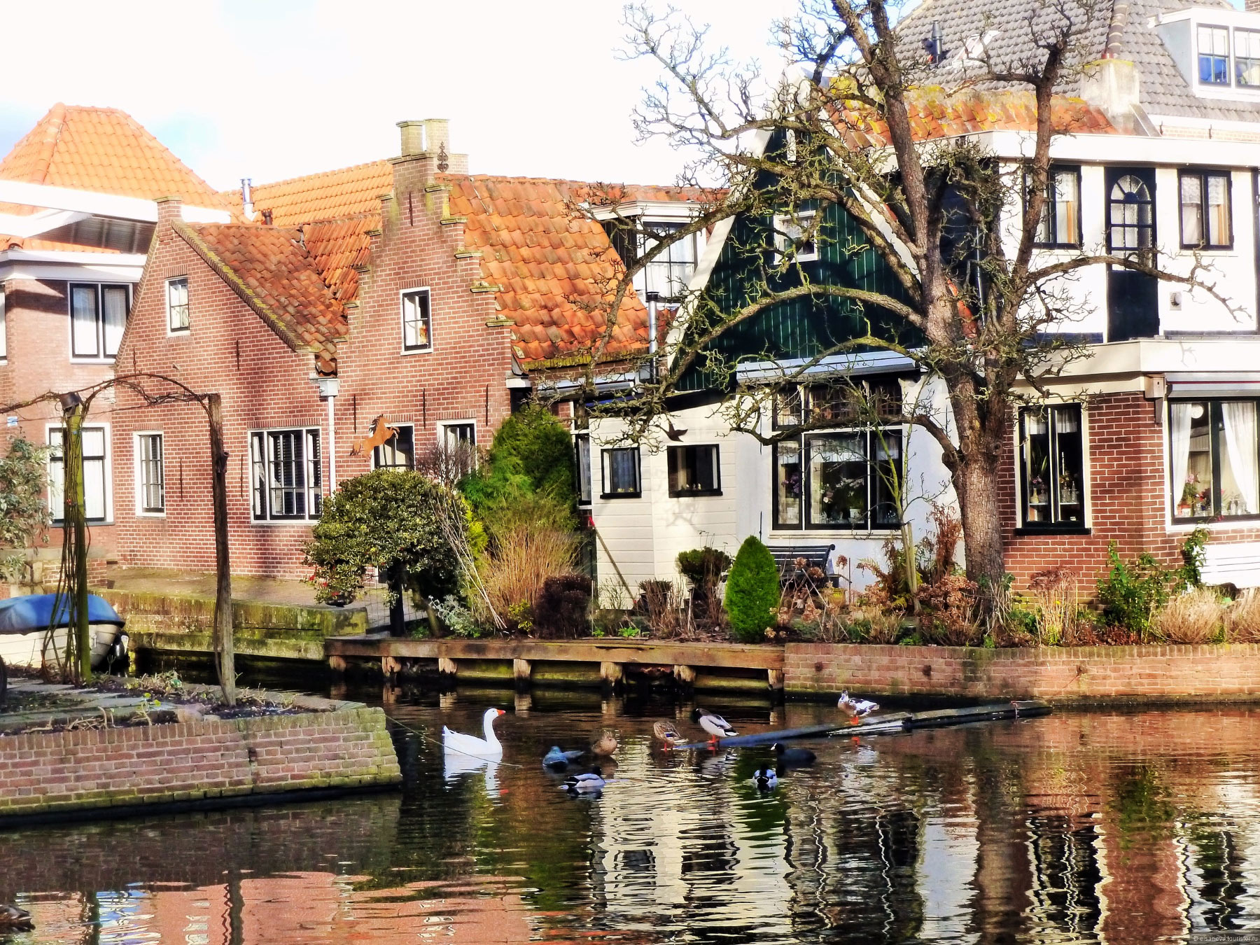 Edam
